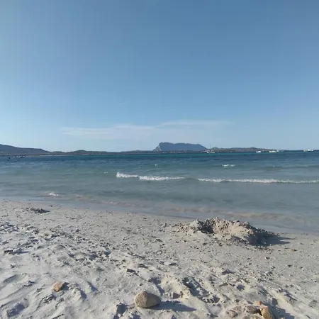 Pidda A San Teodoro (Sardinia)