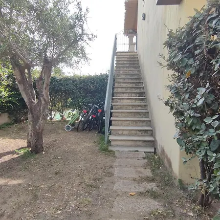 Pidda A
