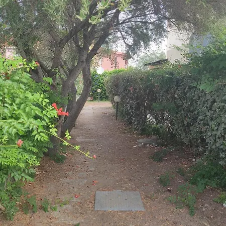 Pidda A San Teodoro (Sardinia)
